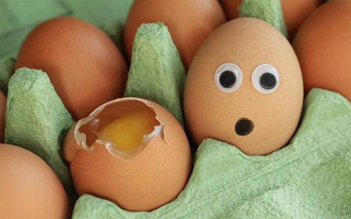 A landscape photograph of eggs in a carton with one of them broken and the other altered
